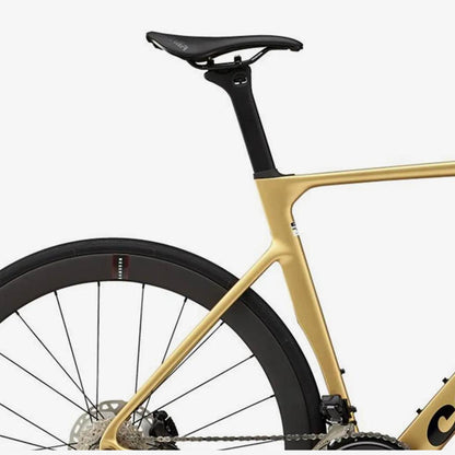 Cervélo Soloist 2025